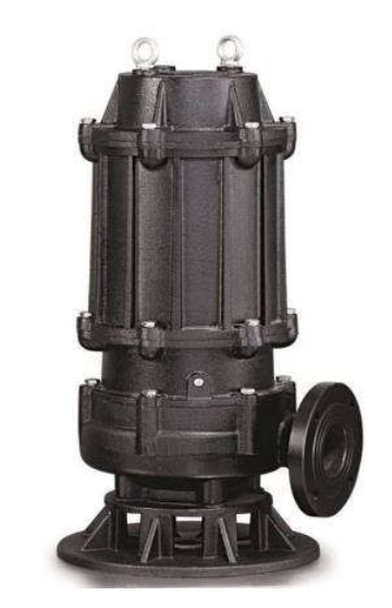 CRI Pumps Sewage Pump - SH-1E-110 4-IT - 11.00 kW